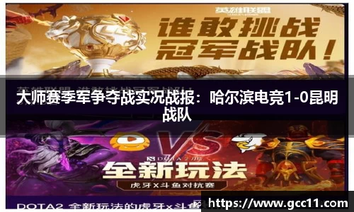 DG视讯
