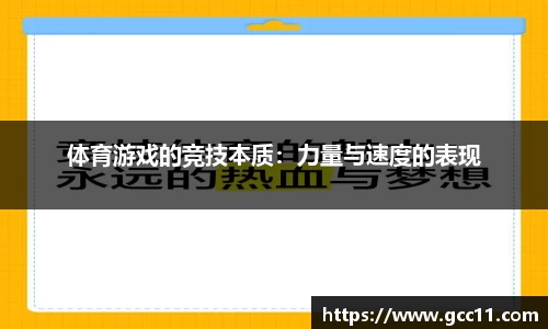DG视讯APP