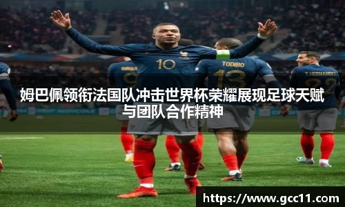 奇异果体育app下载