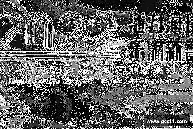 关于DG视讯